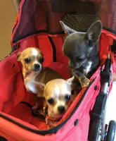 processed/7d15c6d7-7056-4141-ac61-865ad47915f9/facility/12763b4b-5aa3-4f7b-89d2-216b56fdf439