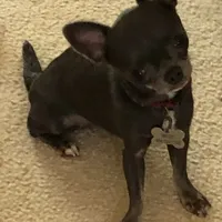 processed/7d15c6d7-7056-4141-ac61-865ad47915f9/facility/24b7f85e-adc5-40e1-9533-1ea8ae905dd6