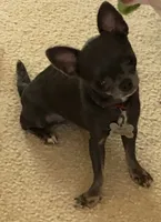 processed/7d15c6d7-7056-4141-ac61-865ad47915f9/facility/24b7f85e-adc5-40e1-9533-1ea8ae905dd6