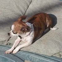 processed/7d15c6d7-7056-4141-ac61-865ad47915f9/facility/281c4771-0e8a-4b07-b7e1-b7b90908fb8b