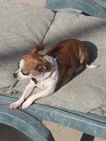 processed/7d15c6d7-7056-4141-ac61-865ad47915f9/facility/281c4771-0e8a-4b07-b7e1-b7b90908fb8b