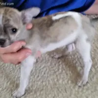 processed/7d15c6d7-7056-4141-ac61-865ad47915f9/facility/52d4148e-eaa9-41b8-8a19-dfb6cb67b4f8