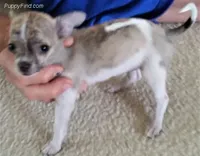 processed/7d15c6d7-7056-4141-ac61-865ad47915f9/facility/52d4148e-eaa9-41b8-8a19-dfb6cb67b4f8