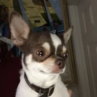 processed/7d15c6d7-7056-4141-ac61-865ad47915f9/facility/662eb929-7d6b-4fc2-9bbe-cb5559c72887