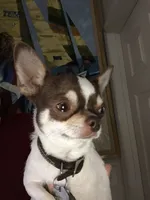 processed/7d15c6d7-7056-4141-ac61-865ad47915f9/facility/662eb929-7d6b-4fc2-9bbe-cb5559c72887