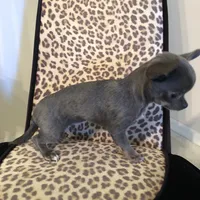 processed/7d15c6d7-7056-4141-ac61-865ad47915f9/facility/748f63ee-c670-425b-832f-b47ea4213899