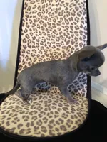 processed/7d15c6d7-7056-4141-ac61-865ad47915f9/facility/748f63ee-c670-425b-832f-b47ea4213899