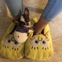 processed/7d15c6d7-7056-4141-ac61-865ad47915f9/facility/9d73cf88-e67a-49fa-bdd5-e3bea36b71d9