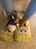 processed/7d15c6d7-7056-4141-ac61-865ad47915f9/facility/9d73cf88-e67a-49fa-bdd5-e3bea36b71d9