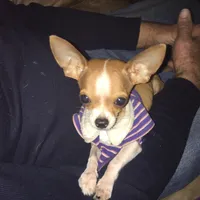 processed/7d15c6d7-7056-4141-ac61-865ad47915f9/facility/e120aecc-c6fe-47b2-a4a2-b54443461658