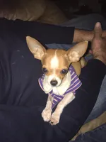 processed/7d15c6d7-7056-4141-ac61-865ad47915f9/facility/e120aecc-c6fe-47b2-a4a2-b54443461658