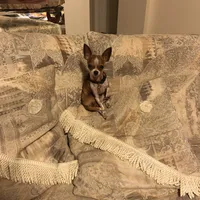 processed/7d15c6d7-7056-4141-ac61-865ad47915f9/facility/e2711fc7-17e0-4ebe-ada0-31fe6b537f9a