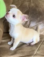 processed/7d15c6d7-7056-4141-ac61-865ad47915f9/listing/453b26a9-d7a4-4c94-b173-c6c8e20d2b33/2315a5bd-a2b0-427c-9256-c4a3bbd15f5d