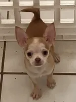 processed/7d15c6d7-7056-4141-ac61-865ad47915f9/listing/453b26a9-d7a4-4c94-b173-c6c8e20d2b33/51d60f3c-2123-416e-a4b8-cea2ab29e839