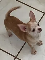 processed/7d15c6d7-7056-4141-ac61-865ad47915f9/listing/453b26a9-d7a4-4c94-b173-c6c8e20d2b33/c13463c7-e6d3-4ca6-be0a-b50a31428467