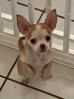 processed/7d15c6d7-7056-4141-ac61-865ad47915f9/listing/453b26a9-d7a4-4c94-b173-c6c8e20d2b33/ef3d6b25-4bbd-4823-b1d3-b5471448e407