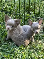 processed/7d15c6d7-7056-4141-ac61-865ad47915f9/listing/6f3c41a3-8651-463c-9e01-43b932316df2/7d0bc098-c542-4530-aaa1-3c792ddfda0d