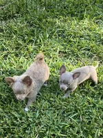 processed/7d15c6d7-7056-4141-ac61-865ad47915f9/listing/6f3c41a3-8651-463c-9e01-43b932316df2/9472f446-9607-40a3-89f7-1ca69ddedba8