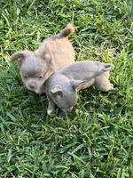 processed/7d15c6d7-7056-4141-ac61-865ad47915f9/listing/6f3c41a3-8651-463c-9e01-43b932316df2/9a42cf1c-6740-4536-88a2-9c34a63181d5