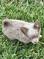 processed/7d15c6d7-7056-4141-ac61-865ad47915f9/listing/9fd3eca4-e89e-403c-b63b-f78cb8ec69e5/8ce9206d-cab7-4eeb-be8a-bd2c5a8d1720