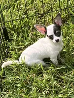 processed/7d15c6d7-7056-4141-ac61-865ad47915f9/listing/d1594f8c-2c0f-4a7e-8f84-d736ef5790c4/5ef07ad6-24b5-4813-a1b0-805fa8c05485