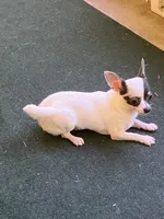 processed/7d15c6d7-7056-4141-ac61-865ad47915f9/listing/d1594f8c-2c0f-4a7e-8f84-d736ef5790c4/789d6bd9-961c-47d3-842e-80b57f9c4497