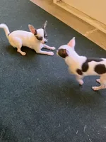 processed/7d15c6d7-7056-4141-ac61-865ad47915f9/listing/d1594f8c-2c0f-4a7e-8f84-d736ef5790c4/e0a650c7-410c-486e-b759-eea4aa3835fa