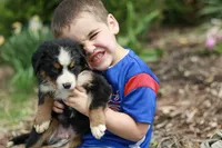 processed/7d189a26-cfac-4e25-a760-3467b3fb3f66/facility/01b7df00-ae19-442d-a38a-7b1862c1f705