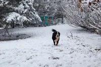 processed/7d189a26-cfac-4e25-a760-3467b3fb3f66/facility/1f1855ab-e162-4e3e-a709-e8140712a261