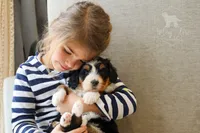 processed/7d189a26-cfac-4e25-a760-3467b3fb3f66/facility/3401b5f8-3b4f-4e7b-ab2f-f786400481bf