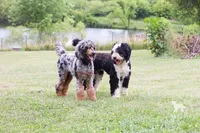 processed/7d189a26-cfac-4e25-a760-3467b3fb3f66/facility/987592ed-0874-4014-a3f6-83e42deb9129