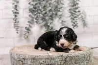 processed/7d189a26-cfac-4e25-a760-3467b3fb3f66/listing/0a62bb38-a3ca-45e2-bed1-487b89ef8103/2cabf207-e7db-4b7f-8ca2-a38c8fb6d80f