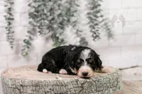 processed/7d189a26-cfac-4e25-a760-3467b3fb3f66/listing/0a62bb38-a3ca-45e2-bed1-487b89ef8103/96c0f40e-0473-4808-84c8-235018d39d0a