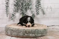 processed/7d189a26-cfac-4e25-a760-3467b3fb3f66/listing/0a62bb38-a3ca-45e2-bed1-487b89ef8103/df9fabb4-f930-4b07-a36f-854e3cd24851