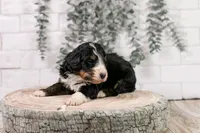 processed/7d189a26-cfac-4e25-a760-3467b3fb3f66/listing/43fd574e-5311-4be8-933d-c0e55b99dbec/05f4faf8-0863-47c1-8121-b5d1a188a08e