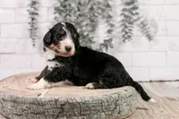 processed/7d189a26-cfac-4e25-a760-3467b3fb3f66/listing/43fd574e-5311-4be8-933d-c0e55b99dbec/cc297a7e-9078-4bb6-99fb-5a78a837b62c