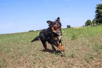 processed/7d189a26-cfac-4e25-a760-3467b3fb3f66/listing/c101b034-95b2-42a3-8dbb-e2bfe3e909ae/12c43244-0214-432f-b2b2-b02ba91cd446