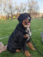 processed/7d189a26-cfac-4e25-a760-3467b3fb3f66/listing/c101b034-95b2-42a3-8dbb-e2bfe3e909ae/8e38e128-d67c-44c8-8abd-7b26204f53fb