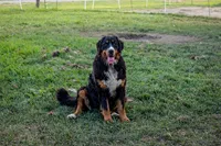 processed/7d189a26-cfac-4e25-a760-3467b3fb3f66/listing/c101b034-95b2-42a3-8dbb-e2bfe3e909ae/bbefecba-cae6-40f6-b367-c72ace3ebe01