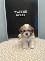 processed/7d241846-262c-49d3-a250-440767a83324/facility/31f0953d-8a8e-4ef0-97c9-2dae067401d0