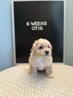 processed/7d241846-262c-49d3-a250-440767a83324/facility/6b3c3165-4c1f-4c98-8995-9a02588702d1