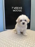 processed/7d241846-262c-49d3-a250-440767a83324/facility/9ff966ae-159e-40cd-ac24-4134bfb2752a