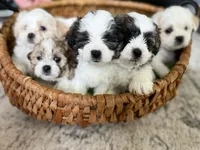 processed/7d241846-262c-49d3-a250-440767a83324/facility/a9ec1e1e-e090-4ff8-88ee-a3f57c529358