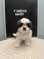 processed/7d241846-262c-49d3-a250-440767a83324/facility/cb1c5920-0e9d-4de9-a094-f5ce74e7371d