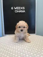 processed/7d241846-262c-49d3-a250-440767a83324/facility/cd97bc48-45ca-4df4-8c97-194c0293fc0e