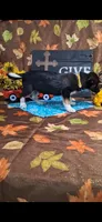 Disco, a male Yorkshire Terrier for sale in Spencerville, IN – 3 of 3