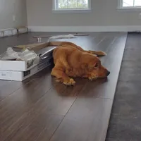 processed/7d2ac55f-954d-47ba-828c-7cce68f01b83/facility/38772d24-4166-4fcb-8491-26234f46d305