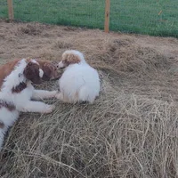 processed/7d2ac55f-954d-47ba-828c-7cce68f01b83/facility/fe597183-7e32-4ea5-9e4f-75c5bc14d3ab