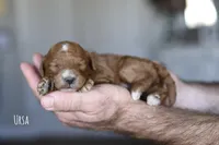 processed/7d2ac55f-954d-47ba-828c-7cce68f01b83/listing/2abe46a9-db56-4c2e-a7f3-5544fbbf5d48/6f488881-e969-49f9-90ad-6a72f8fb0c56