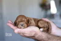 processed/7d2ac55f-954d-47ba-828c-7cce68f01b83/listing/413fe5a0-a2b1-4593-b8a3-d9ebcd5a49c9/2257217c-2321-4a08-a2d9-d6e63515a13f